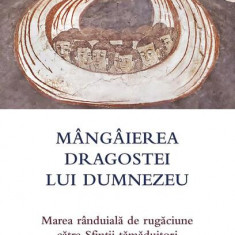 Mângâierea dragostei lui Dumnezeu - Paperback brosat - *** - De Suflet