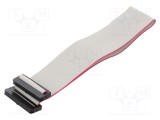 Cablu panglică IDC 1mm 0,3m CONNFLY
