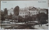 Carte postala, Bucuresti Muzeul Zoologic, perioada interbelica