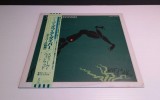 Vinil &quot;Japan Press&quot; Steve Winwood &ndash; Arc Of A Diver (EX), Rock