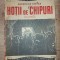 Hotii de chipuri- Gheorghe Stefan