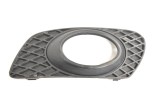 Grila st&acirc;nga față MERCEDES-BENZ M W164 2005 OEM: A1648260124 12524246