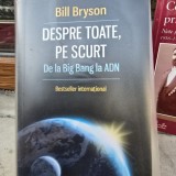 Despre toate, pe scurt. De la Big Bang la ADN - Bill Bryson