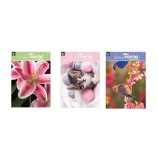 Cumpara ieftin Pictura cu diamante Grafix, A4m diverse modele