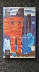 JURNALUL ASCUNS - Sebastian Barry