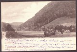 350 - ANINA, Caras-Severin, Defileul, Romania - old postcard - used - 1909