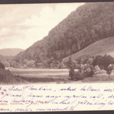 350 - ANINA, Caras-Severin, Defileul, Romania - old postcard - used - 1909