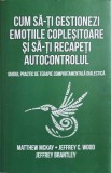 CUM SA-TI GESTIONEZI EMOTIILE COPLESITOARE SI SA-TI RECAPETI AUTOCONTROLUL. GHIDUL PRACTIC DE TERAPIE COMPO-258236