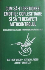 CUM SA-TI GESTIONEZI EMOTIILE COPLESITOARE SI SA-TI RECAPETI AUTOCONTROLUL. GHIDUL PRACTIC DE TERAPIE COMPO-258236
