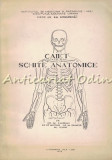 Caiet Schite Anatomice - M. Chiriac, St. Antohe, M. Zamfir, Al. Ichim