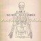 Caiet Schite Anatomice - M. Chiriac, St. Antohe, M. Zamfir, Al. Ichim
