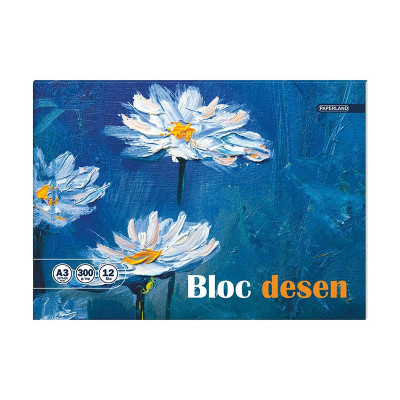 Bloc desen A3 12 file 300 g/mp Paperland foto