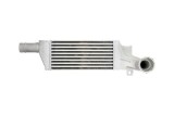 Radiator intercooler OPEL CORSA C (X01) (2000 - 2009) THERMOTEC DAX009TT