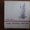 Flori, buchete, coroane - Arta impletirii florilor / R6P4F