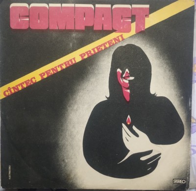 Vinil Compact-Cantec pentru prieteni foto
