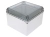 Carcasa Universala SPELSBERG GEOS, Policarbonat, IP67, Gri, 300x300x220mm, IK09, Capac Transparent