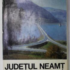 JUDETUL NEAMT , fotografii de ION PETCU , cuvant inainte si legende de RADU CARNECI , 1974 , TEXT IN ROMANA , FRANCEZA , GERMANA , ENGLEZA , RUSA