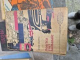 Moartea unei haimanale vintage