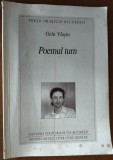 Cumpara ieftin GELU VLASIN - POEMUL TURN [VERSURI, 2001]