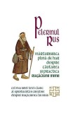 Pelerinul rus - Paperback - *** - Herald
