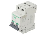 &Icirc;ntrerupător de supracurent 2A, 2 poli, 6kA, Easy9 Pro