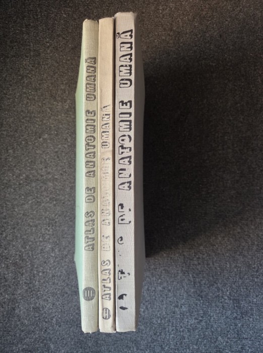 ATLAS DE ANATOMIE UMANA - Mircea Ifrim (3 volume)