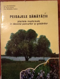 Peisajele Sanatatii-plante medicinale in decorul parcurilor si gradinilor