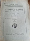 Ioan Simionescu - Mamiferele Pliocene de la Cimislia IV Rhinocerotidae