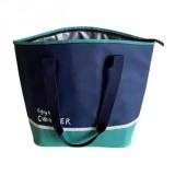 Geanta Frigorifica Izolata 43x35cm WEI A90008 DNC62214