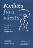 Meduza fara varsta - Nicklas Brendborg