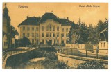 1994 - FAGARAS, Brasov, Radu Negru High School - old postcard - used - 1930