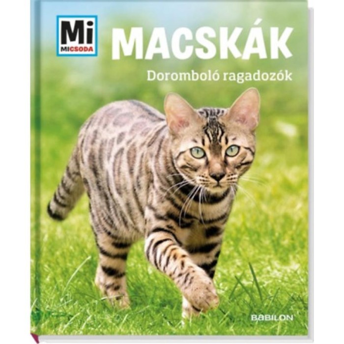 Macsk&aacute;k - Dorombol&oacute; ragadoz&oacute;k - Jutta Aurahs