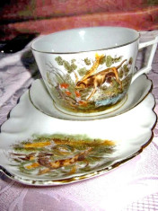 174A-Gedace Limoges France Set vechi servit ceai si biscuiti. Perioada 1900. foto