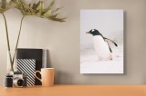 Tablou Canvas, "Pinguinul explorator pe ghețurile albe", Pinguin, Gheață, Mers, Aripioare, Rece, 26 x 39 cm, CMCLASS