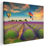 Tablou peisaj lavanda cu baloane aer cald, mov, galben 1201 Tablou canvas pe panza CU RAMA 60x80 cm