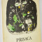 Prisaca - Tudor Arghezi Format Mare 1976