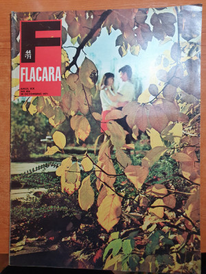 flacara 30 octombrie 1971-art si foto orasul husi,muzeele din suceava foto