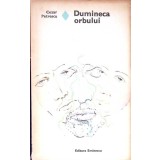 DUMINECA ORBULUI-CEZAR PETRESCU-339179