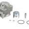Set cilindru + piston pentru mașină de tuns iarbă, Geko G81110