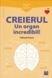 Creierul - Thibaud Dumas