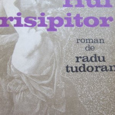 Fiul risipitor - Radu Tudoran