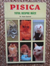 PISICA , TOTUL DESPRE MATE de ALAIN GANIVET foto