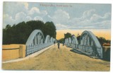 2696 - TARGU-JIU, Bridge, Romania - old postcard - used - 1917, Circulata, Printata