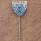 Insigna Regalista OSP FRAM