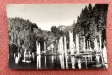 Lacul Rosu. Vedere - Circulata, 1957