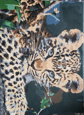 Pictura pe numere &amp;quot;Pui de jaguar&amp;quot; foto
