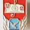 INSIGNA PENTRU ACTIVITATI CULTURAL ARTISTICE ALUMINIU VOPSIT SOIMII PATRIEI SOIM AL SOIMUL ARTA ( CITITI DESCRIEREA )