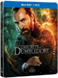 Animale Fantastice: Secretele lui Dumbledore / Fantastic Beasts: The Secrets of Dumbledore (Blu-ray Steelbook Caracter) | David Yates