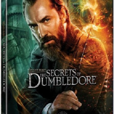 Animale Fantastice: Secretele lui Dumbledore / Fantastic Beasts: The Secrets of Dumbledore (Blu-ray Steelbook Caracter) | David Yates