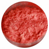 Cumpara ieftin Pigment Machiaj Ama - Vampire Mate&quot;S, No 555